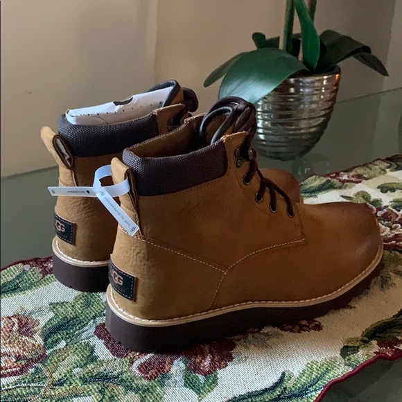 UGG MEN’S SETON TL. CHESTNUT Waterproof main image 4